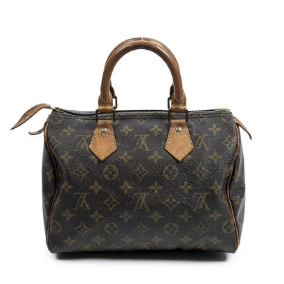 Louis Vuitton Monogram Speedy 25 Bag