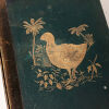 A History of the Birds of New Zealand by Sir Walter Lawry Buller - 2