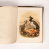 A History of the Birds of New Zealand by Sir Walter Lawry Buller - 5