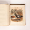 A History of the Birds of New Zealand by Sir Walter Lawry Buller - 6