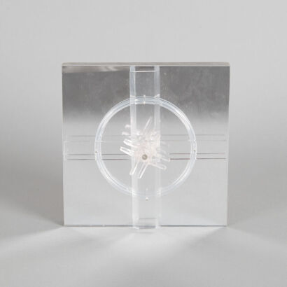 PAM DALTON Towards the Light