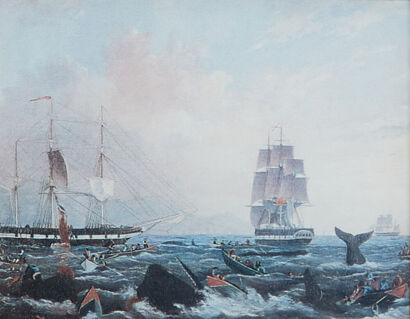 WILLIAM DUKE Offshore Whaling, the Aladdin and Jane