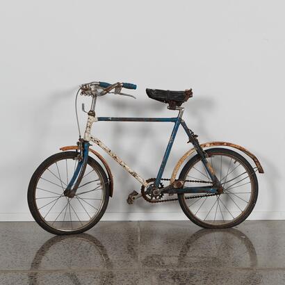 A Decorative Merlin Kids Bicycle