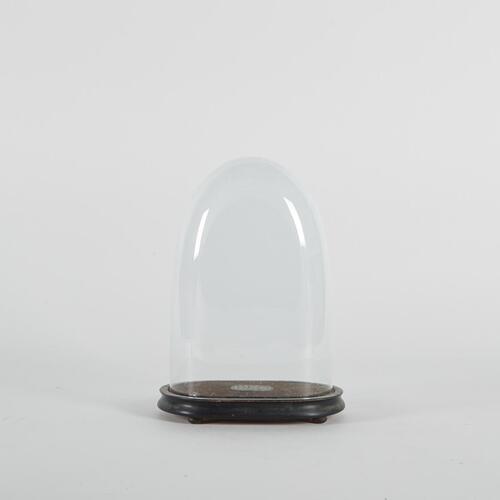 An Antique French Display Dome