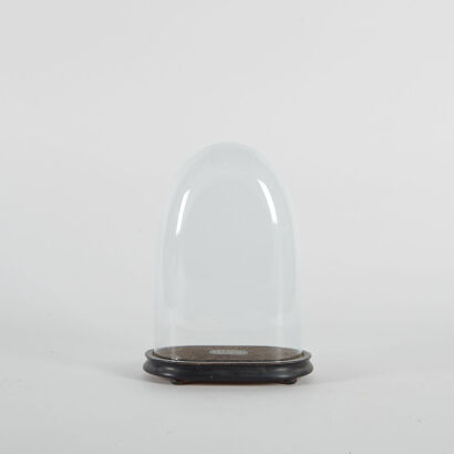 An Antique French Display Dome