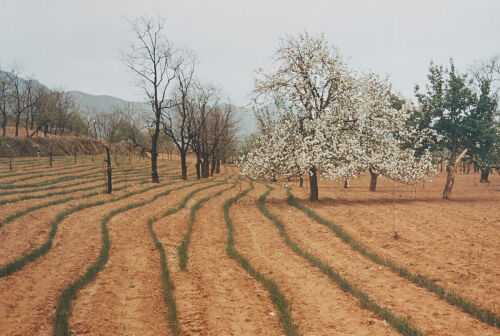 BRIAN BRAKE untitled
