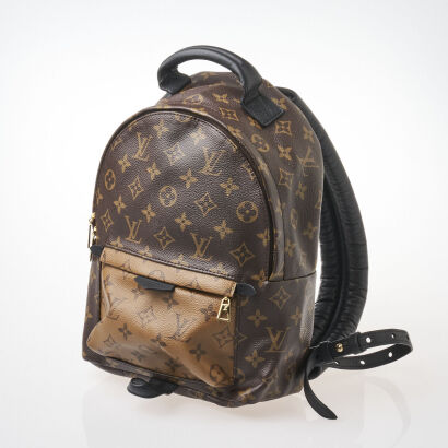 Louis Vuitton Monogram Reverse Palm Springs Backpack