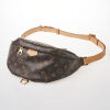 Louis Vuitton Monogram Bumbag