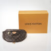 Louis Vuitton Monogram Bumbag - 3