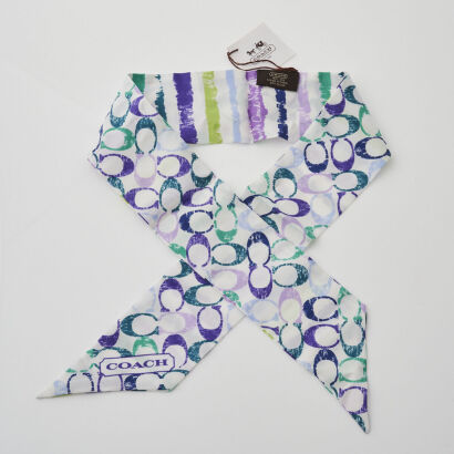 Coach Bag Scarf