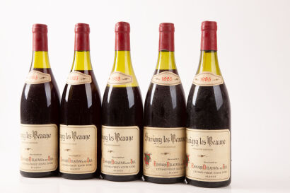 (5) 1985 Delaunay Savigny les Beaunes