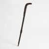 A Walking Stick, Aotearoa - 11