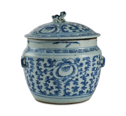 An 18th Century or 19th Century Chinese Blue and White Porcelain Jar