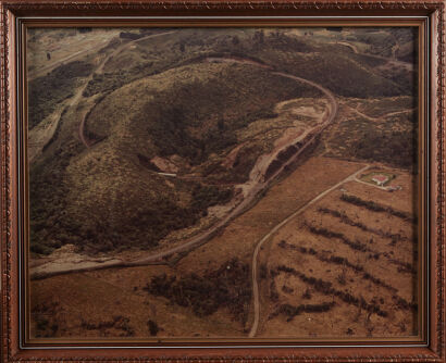 A Rarinu Spiral Framed Photo