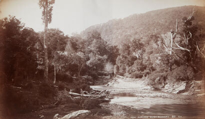 GEORGE VALENTINE New Zealand Bush Scenery