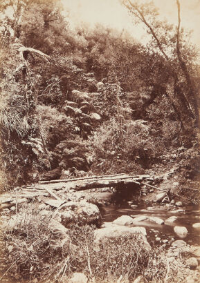 PHOTOGRAPHER UNKNOWN Tararu Creek, Thames, Auckland