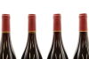 (4) 1999 Ata Rangi Pinot Noir, Martinborough [JR17.5] - 4