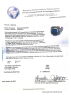 14ct White Gold, 2.95ct Tanzanite and Diamond Ring&nbsp; - 2