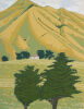 FASSETT BURNETT Herekino