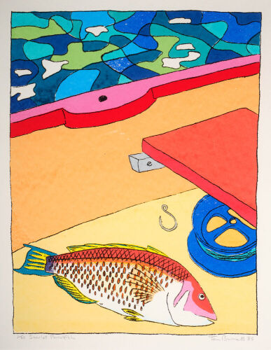 TOM BURNETT Scarlet Parrotfish