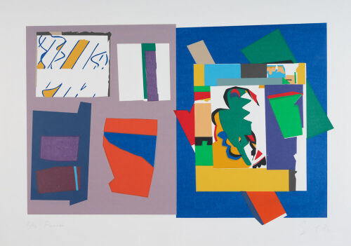 GORDON CROOK Parrot