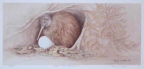 PAULINE MORSE N.I. Brown Kiwi (A)