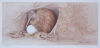 PAULINE MORSE N.I. Brown Kiwi (A)