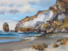 DONALD R NEILSON Castlepoint