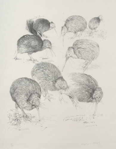 RAYMOND CHING untitled