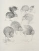 RAYMOND CHING untitled