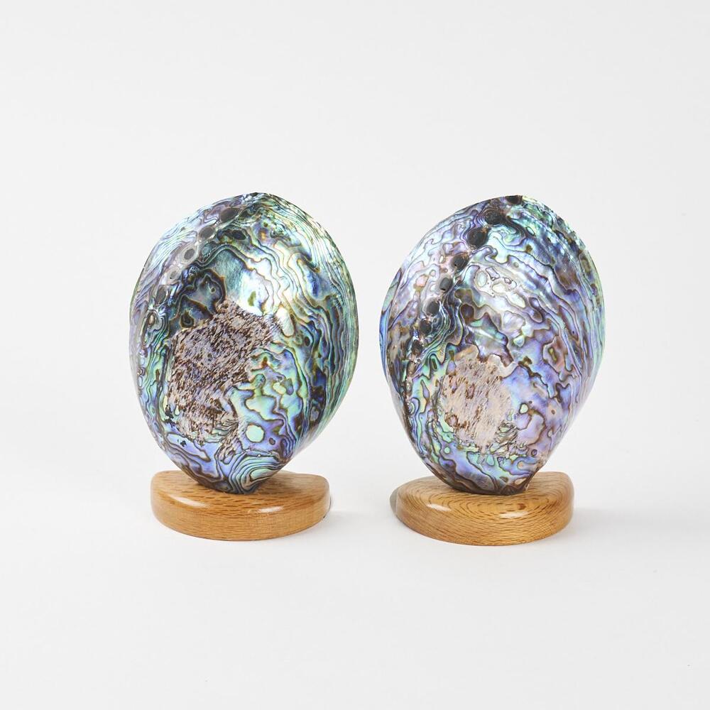 A Pair Of Retro Ataahua Paul Shell Bookends With A Rewarewa Base