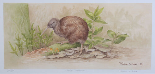 PAULINE MORSE Haast Tokoeka (B)