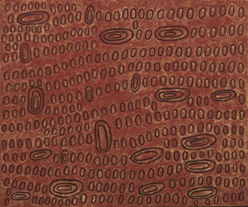 NGOIA POLLARD NAPALTJARRI Swamps West of Nyirripi