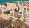 STEPHEN PHIBBS Cooloola Sands