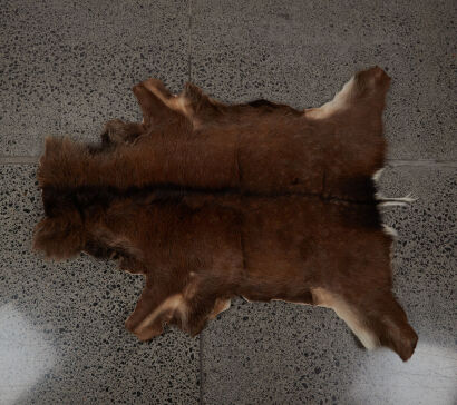 An Animal Skin Rug