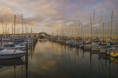 Westhaven Marina Auckland, Colour Photo Stretched On To Canvas