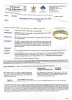 18ct Yellow Gold, Channel Set Diamond Band - 2