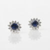 18ct White Gold, Sapphire and Diamond Earrings