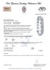 18ct White Gold Diamond Cluster Bracelet of TDW 10.00cts - 2