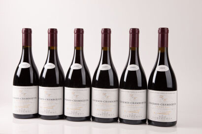 (6) 2009 Domaine Tortochot Charmes Chambertin Grand Cru