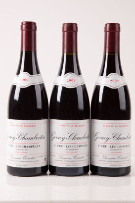 (3) 2009 Domaine Tortochot Gevrey Chambertin 1er Cru Les Champeaux