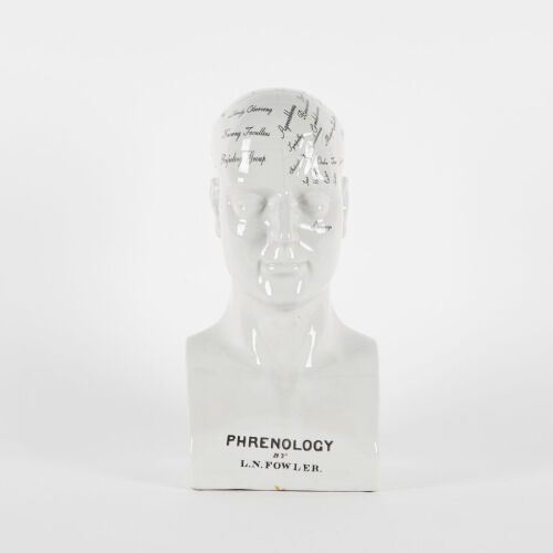 A Ceramic Phrenology Head By L N Fowler