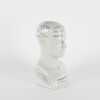 A Ceramic Phrenology Head By L N Fowler - 2