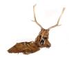 A Suede Head Mask With Deer Antlers And Jerkin