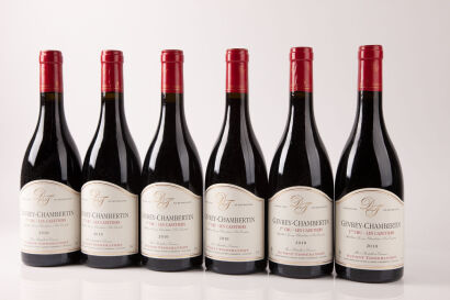 (6) 2010 Dupont Tisserandot Gevrey Chambertin 1er Cru Les Cazetiers, Cotes du Nuits