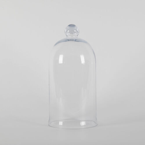 A Decorative Glass Dome