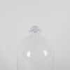 A Decorative Glass Dome - 2