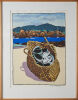 TOM BURNETT Paua - 2