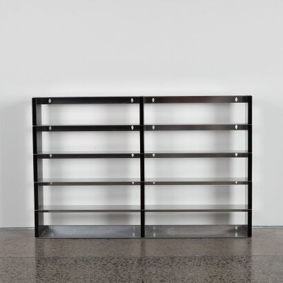 A Wall Mounted Stainless Steel Shelving Unit