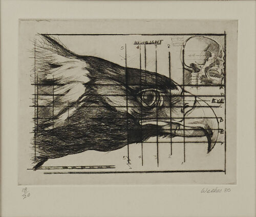 TREVOR WEEKES Bird Study